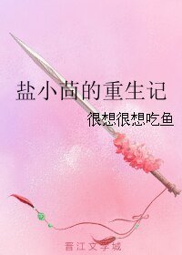 《盐小茴的重生记》