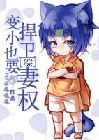 （BG-綜漫同人）[綜]變小也要捍衞妻權