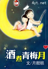 酒煮青梅月