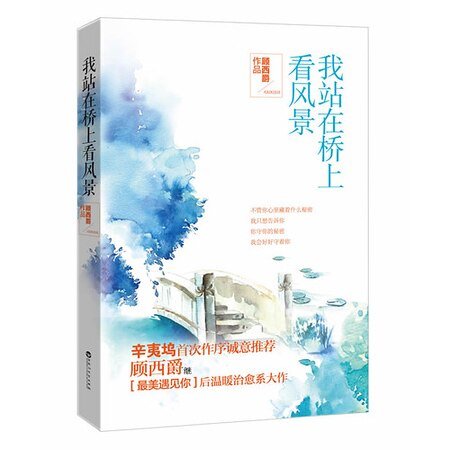 《我站在桥上看风景(出书版)》
