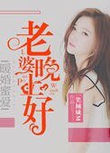 《暖婚蜜爱:老婆晚上好》