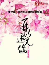 再次遇见你