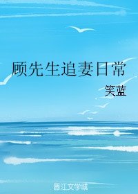 顾先生追妻日常