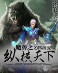 《魔守之縱橫天下》