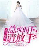 豪門暖婚：總統閣下，請放手