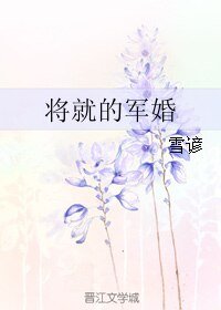 《將就的軍婚》