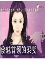 《俊魅首领的柔妻》