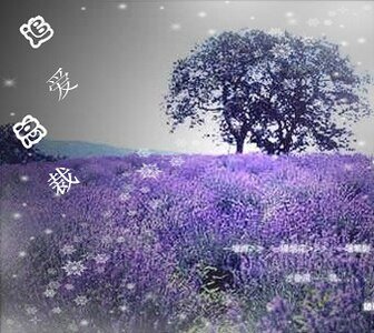 《追爱总裁》