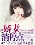 《Boss太兇猛:嬌妻,消停點》