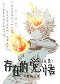 《(家教同人)家教之存在的觉悟》