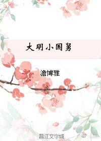 《大明小國舅的太師路》