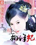 《王爺賴上糊塗妃》