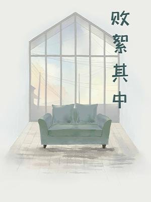 《敗絮其中》