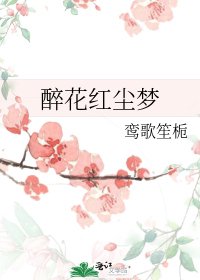 醉花红尘梦