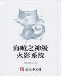 《海賊之神級火影系統》