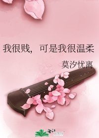 《我很賤,可是我很温柔》