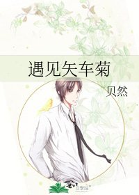 遇见矢车菊