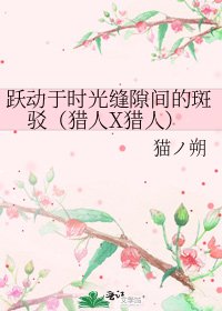 《跃动于时光缝隙间的斑驳(猎人X猎人)》