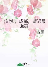 〖纪实〗成都,遭遇最强震