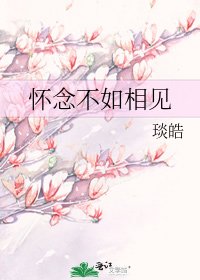 《怀念不如相见》