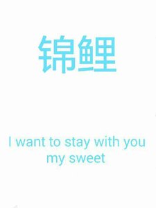 《錦鯉》