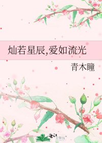 《灿若星辰,爱如流光》