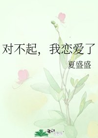 《对不起,我恋爱了》