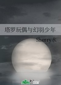 塔罗玩偶与幻羽少年