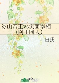《冰山帝王vs笑面宰相(網王同人)》
