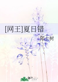 [網王]夏日錯