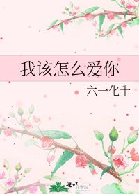 我该怎么爱你