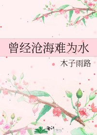 曾經滄海難為水
