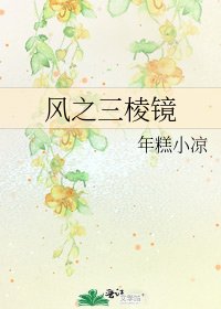 《风之三棱镜》