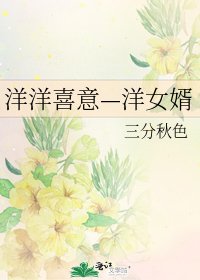洋洋喜意—洋女婿