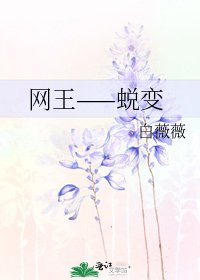 《网王——蜕变》