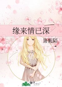 《缘来情已深》