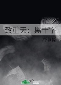 《致重天:黑十字》