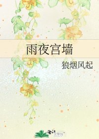 《雨夜宮牆》