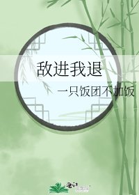 《敌进我退》