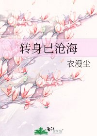《转身已沧海》