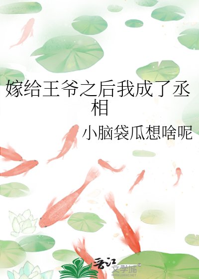 嫁給王爺之後我成了丞相