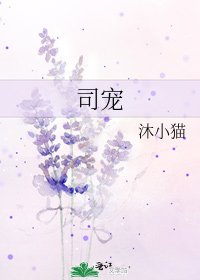 《司宠》