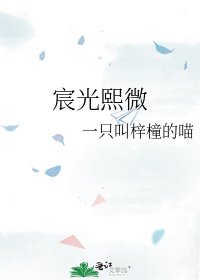 宸光熙微