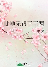 《此地無銀三百兩》