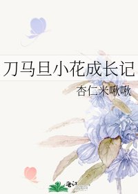 《刀马旦小花成长记》