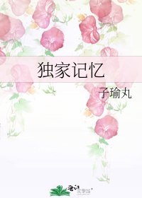 《独家记忆》