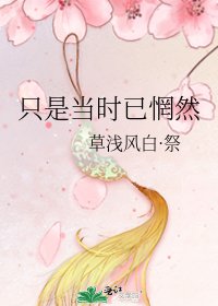 《只是当时已惘然》