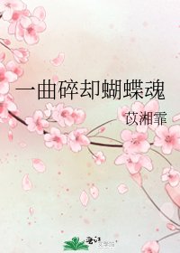 《一曲碎却蝴蝶魂》