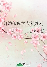 《轩辕传说之大宋风云》