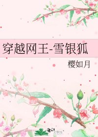 《穿越网王-雪银狐》